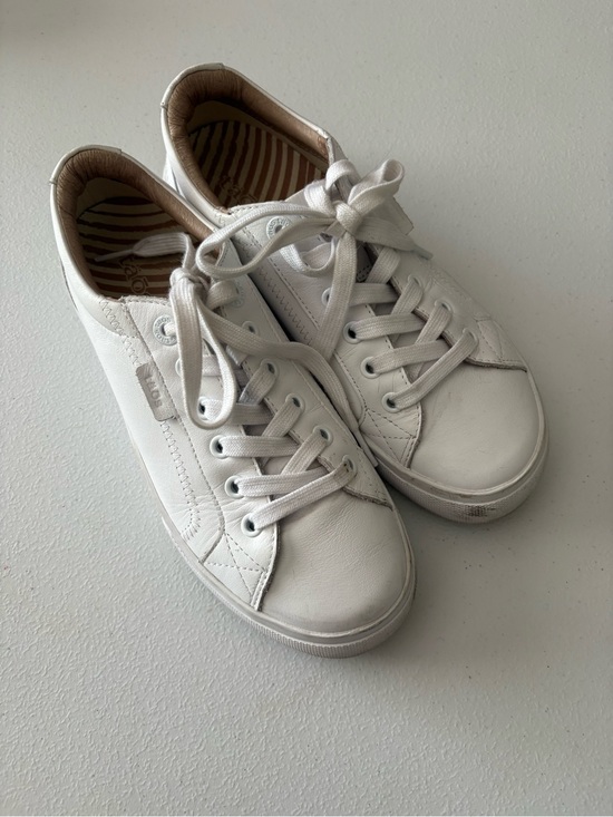 Taos Footwear Shoes - Size 7 Taos White Leather Plim Soul Lux PLX-13994A Lace Up Arch Support Sneakers